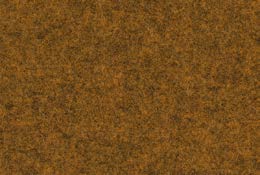 focus-melange-61118.jpg